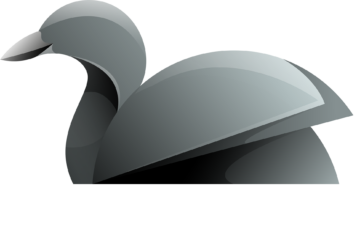 Mocking duck